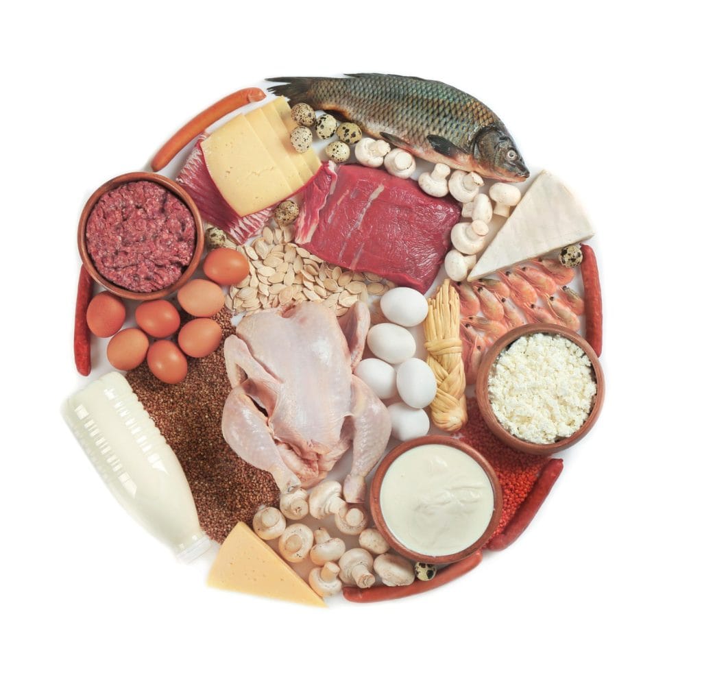 איך לאכול 100 גרם חלבון ביום