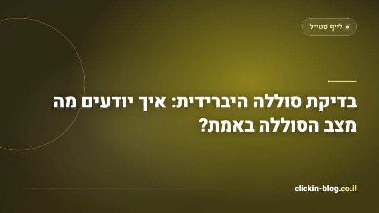 בדיקת סוללה היברידית: איך יודעים מה מצב הסוללה באמת?